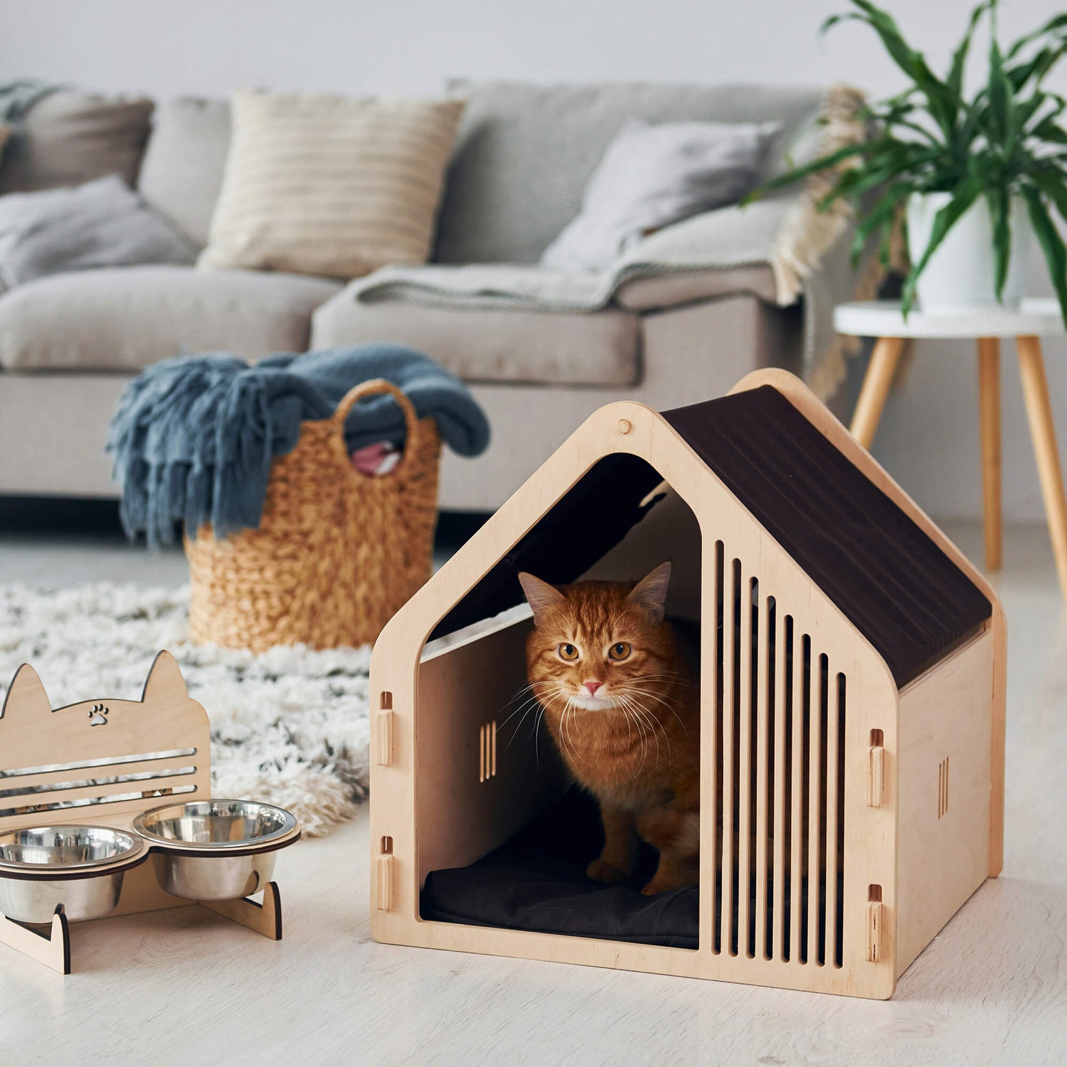 Creating the Perfect Haven: Top Tips for Designing a Pet House
