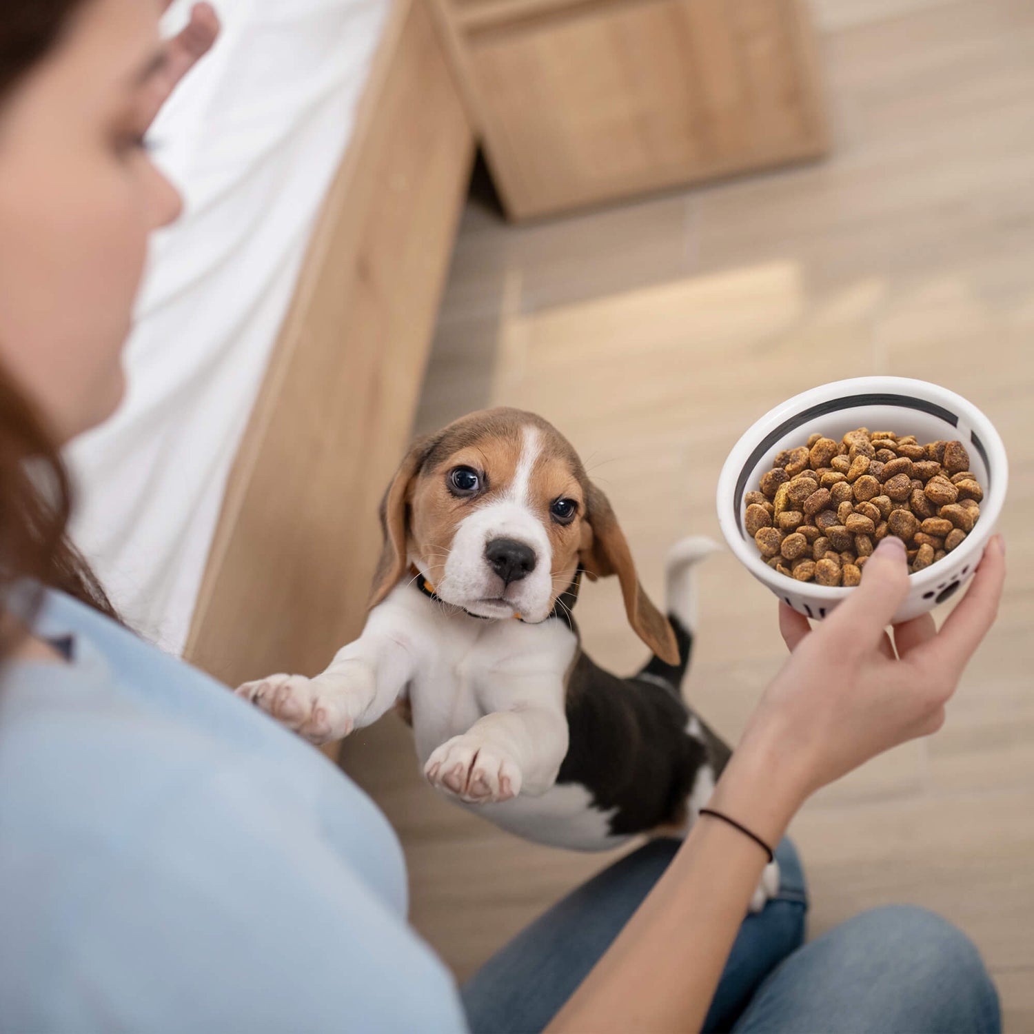 Feeding Furry Friends: Nourishing Your Pet with the Best Food and Accessories