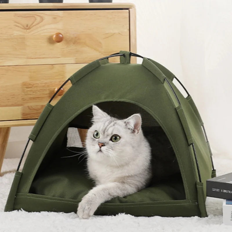 Winter Clamshell Kitten Tents